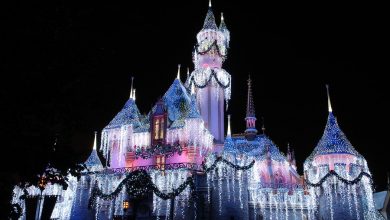 Disneyland Park: Sleeping Beauty